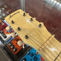 Harmony Lap Steel - Includes Case
