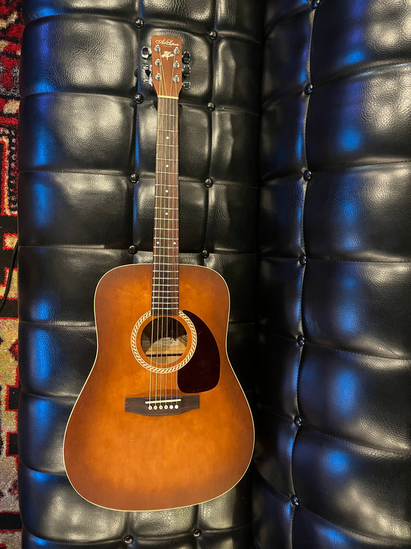 Art Lutherie by Godin 2005