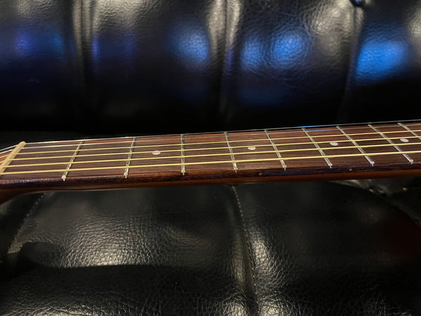 Art Lutherie by Godin 2005