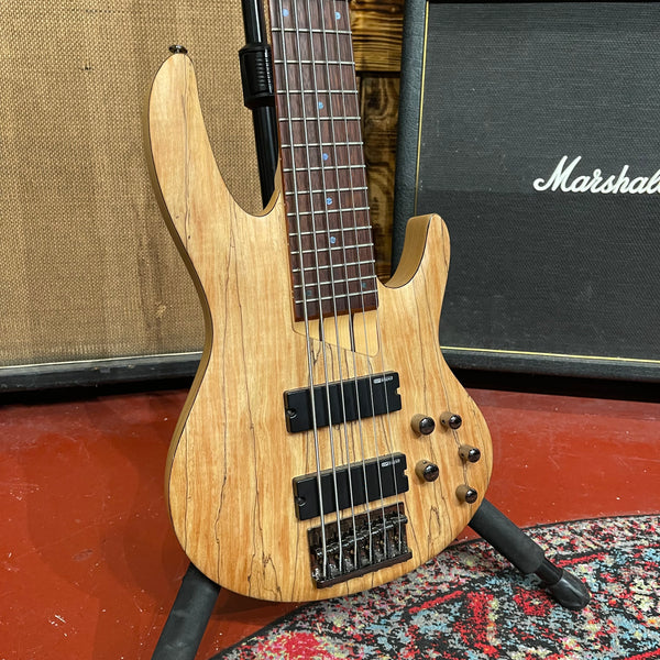 LTD 6 String Bass - No Case - Serial# IIN21100295