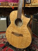 Ibanez EWC30A