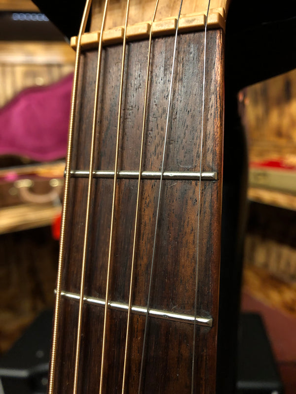 Ibanez EWC30A