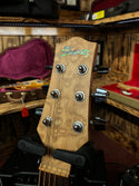 Ibanez EWC30A