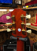 Epiphone Humingbird - Includes Hardshell Case