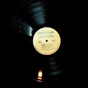 LP-The Allman Brothers Band-Brothers and Sisters