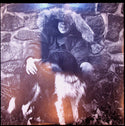 LP-Paul Simon-Paul Simon