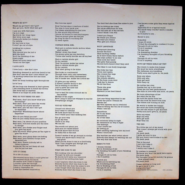 LP-The Producers-Self Titled-Original Vinyl-1981