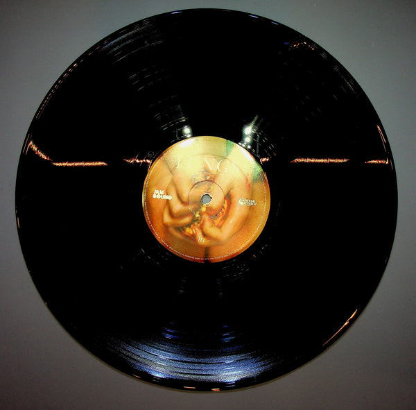 Florence And The Machine – Lungs LP *USED*