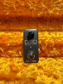 TC Electronics Ditto Looper