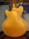Tagima Ekosonic Metallic Gold Semi Hollow Offset Guitar W/ Hardshell Case!!! #880