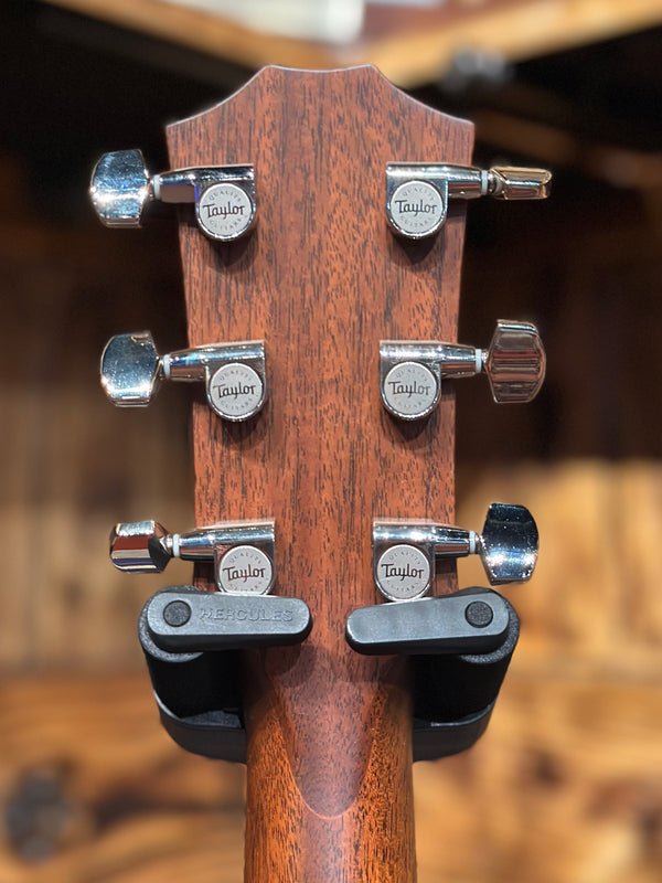 Taylor 314ce with V-Class Bracing 2023 - Natural #916
