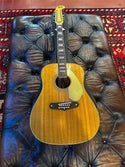 Fender 1970's Shenandoah 12 String Acoustic Case # 828 Consignment