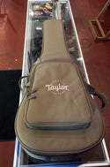 Taylor 150E 12 String - Includes Gig Bag
