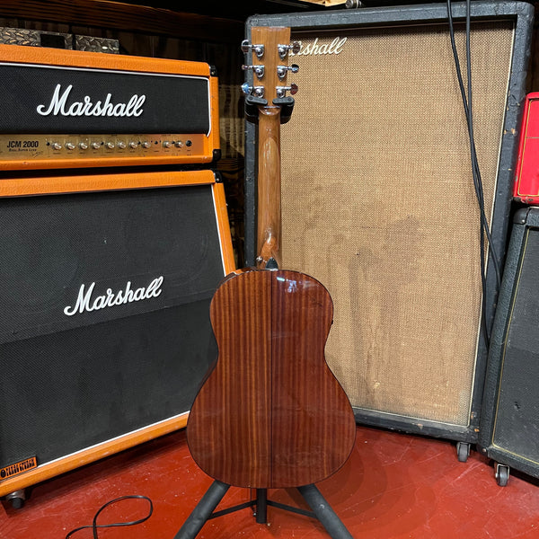 Zager Travel Acoustic - Includes Hardshell Case