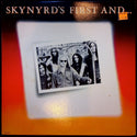 Used Vinyl-Lynyrd Skynyrd-Skynyrd's First And... Last-LP