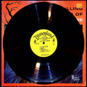 Used Vinyl-No Artist-Chilling, Thrilling Sounds Of The Haunted House-LP