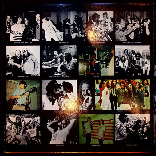 Used Vinyl-Lynyrd Skynyrd-Skynyrd's First And... Last-LP