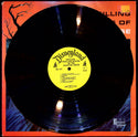 Used Vinyl-No Artist-Chilling, Thrilling Sounds Of The Haunted House-LP