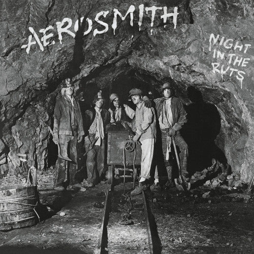Aerosmith - Night in the Ruts LP - 180g Audiophile NEW