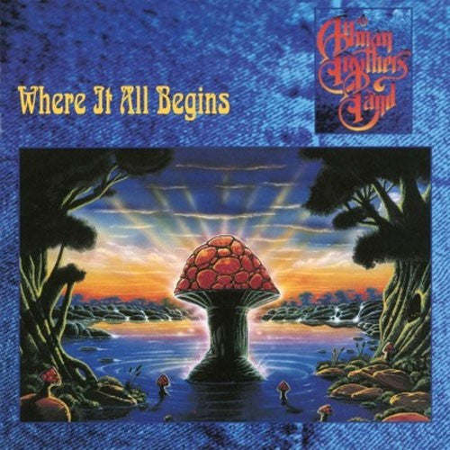The Allman Brothers Band - Where It All Begins LP - 180g Audiophile (MOV) NEW