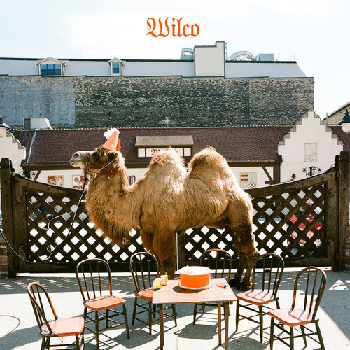 Wilco - Wilco LP (Picture Disc) NEW