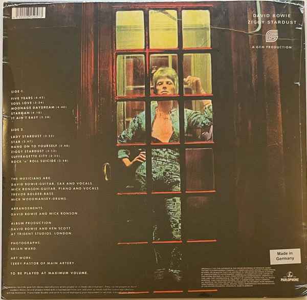LP-New-David Bowie-The Rise And Fall Of Ziggy Stardust-Picture Disc